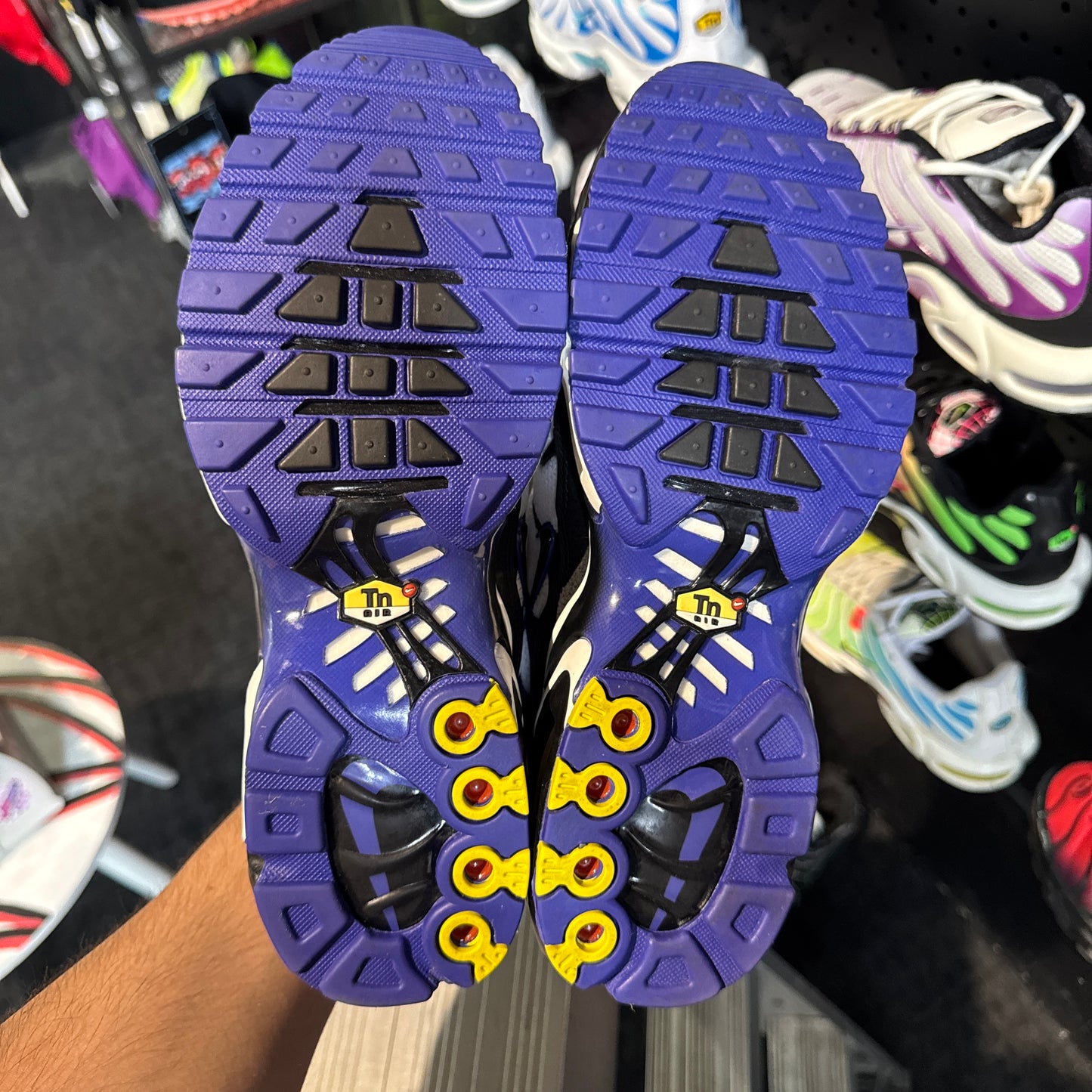 Nike Air Max Plus TN 'Persian Violet' (Brand New)