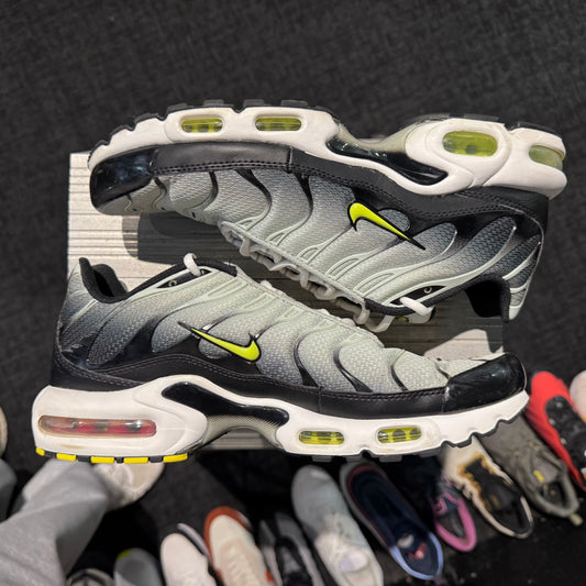 Nike Air Max Plus TN 'Bright Catus' (Second hand)