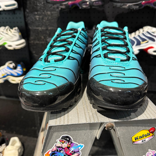 Nike Air Max Plus TN 'Aqua Fade' (Second hand)
