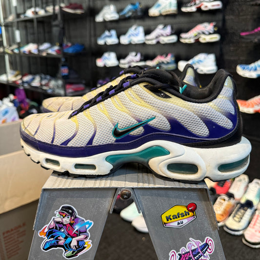 Nike Air Max Plus TN 'Grape Ice' (Second hand)