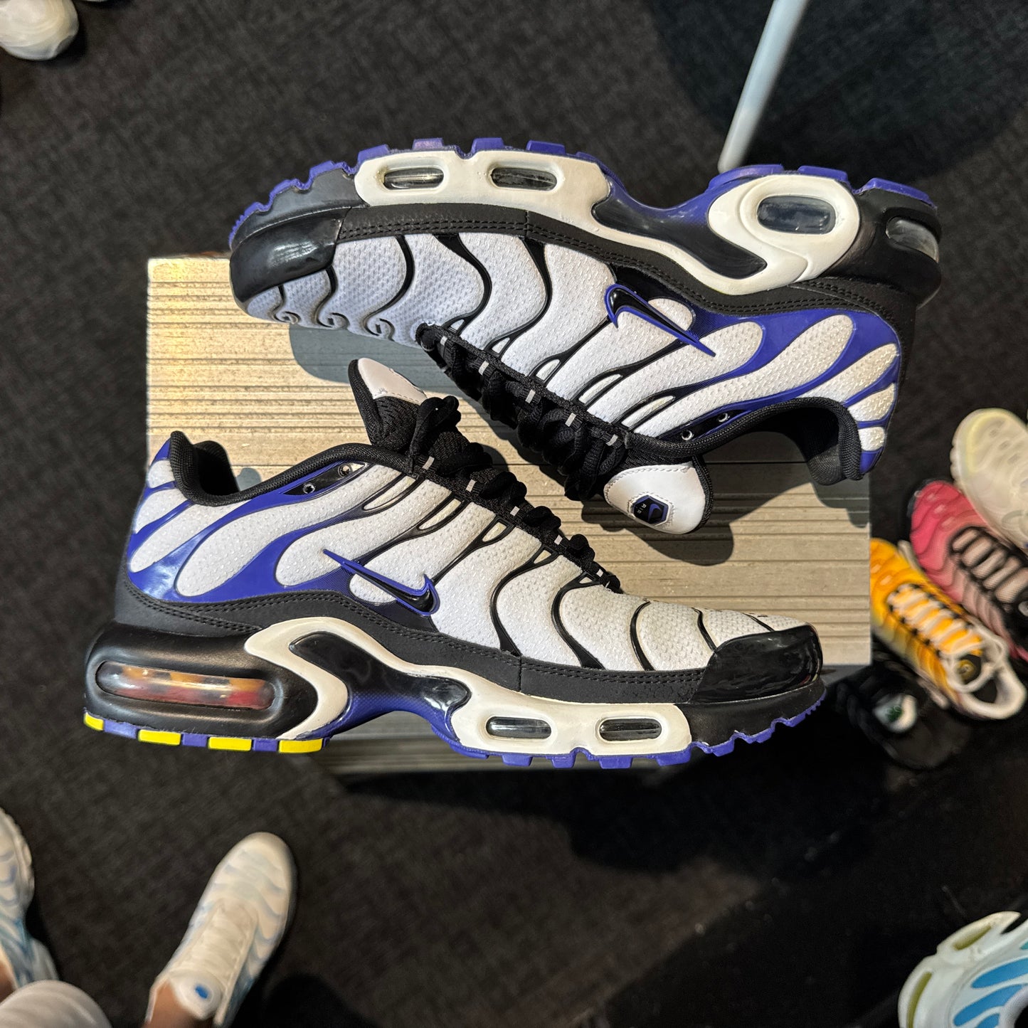 Nike Air Max Plus TN 'Persian Violet' (Brand New)