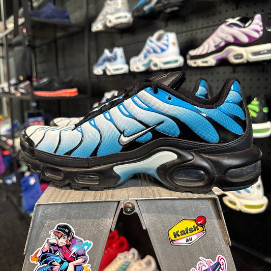 Nike Air Max Plus TN 'Neptune' (Second hand)