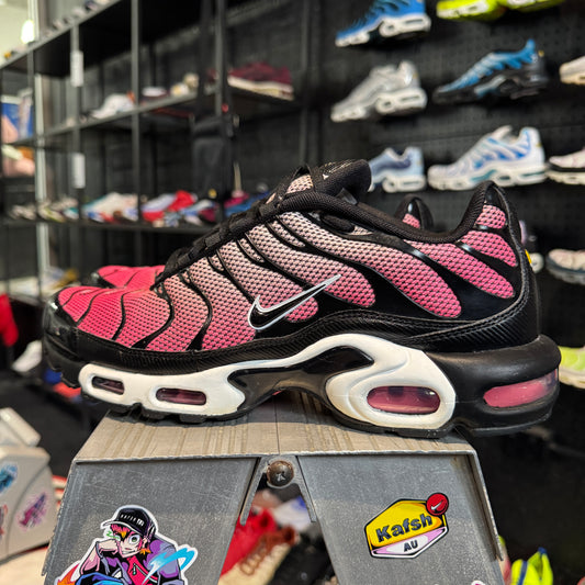 Nike Air Max Plus TN 'All Day' (Second hand)