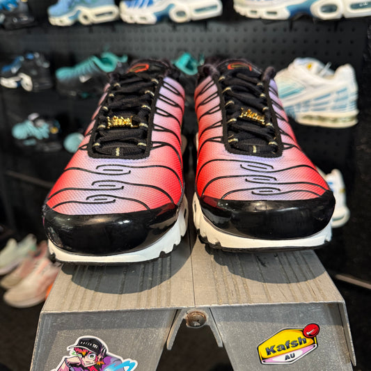 Nike Air Max Plus TN 'Sisterhood' (Second hand)