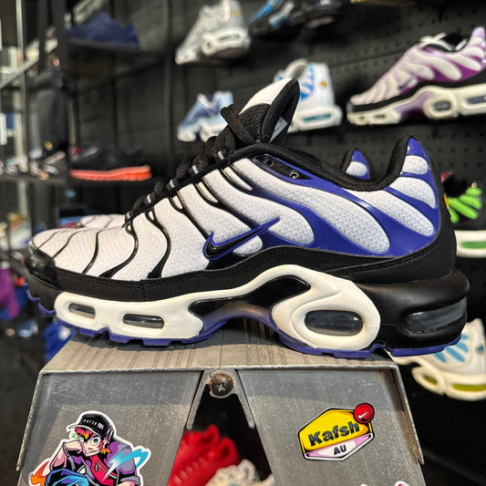 Nike Air Max Plus TN 'Persian Violet' (Brand New)