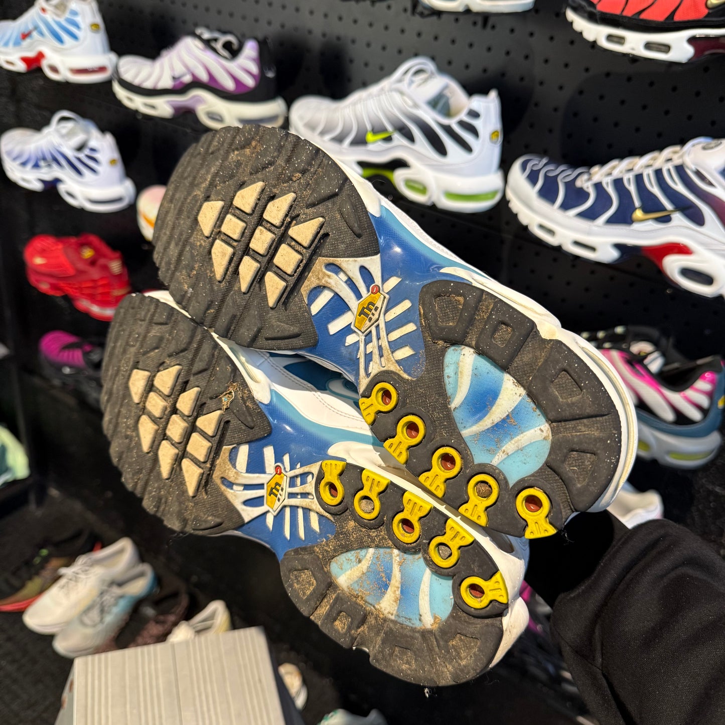 Nike Air Max Plus 'TN' Battle Blue (Second hand)