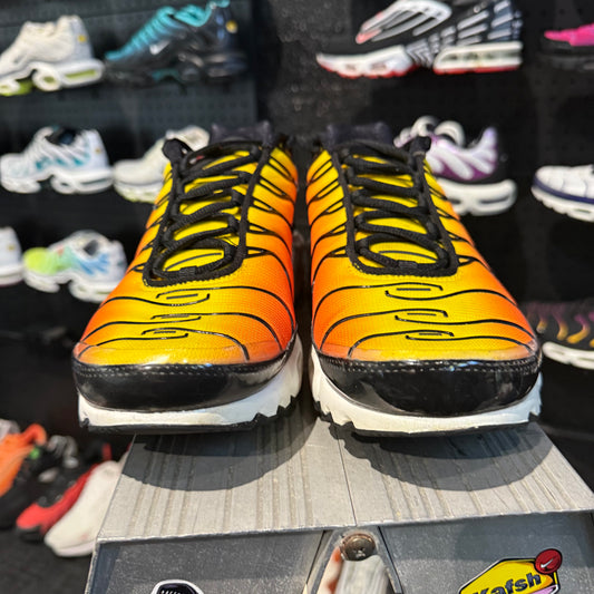 Nike Air Max Plus TN 'Tiger' (Second hand)