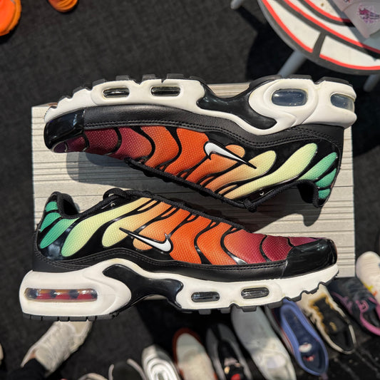 Nike Air Max Plus TN 'Viotech Rainbow' (Second hand)