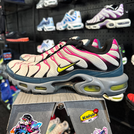 Nike Air Max Plus TN 'Ash Green Pink' (Second hand)