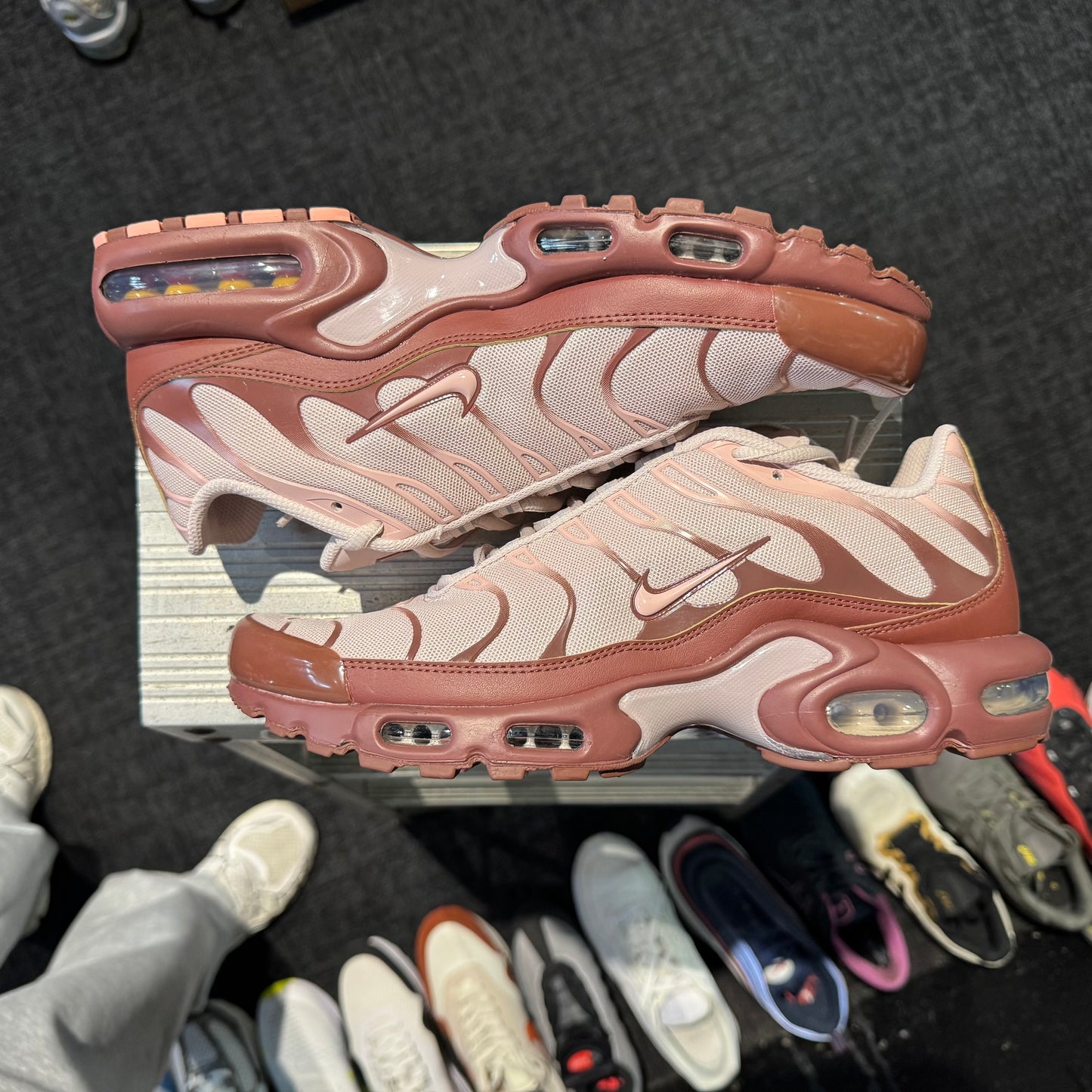 Nike Air Max Plus TN 'Red Sepia' (Brand New)