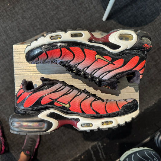 Nike Air Max Plus TN 'Sisterhood' (Second hand)