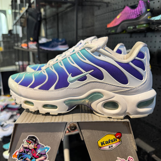 Nike Air Max Plus TN SE 'Bleached Aqua' (2018) (Second hand)