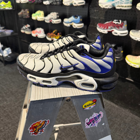 Nike Air Max Plus 'TN' Persian Violet (Second hand)