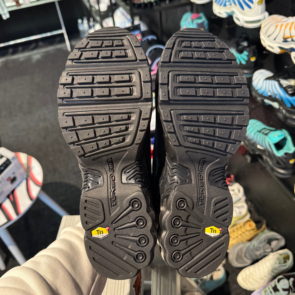 Nike Air Max Plus TN3 Premium 'Rainbow'(Brand New)