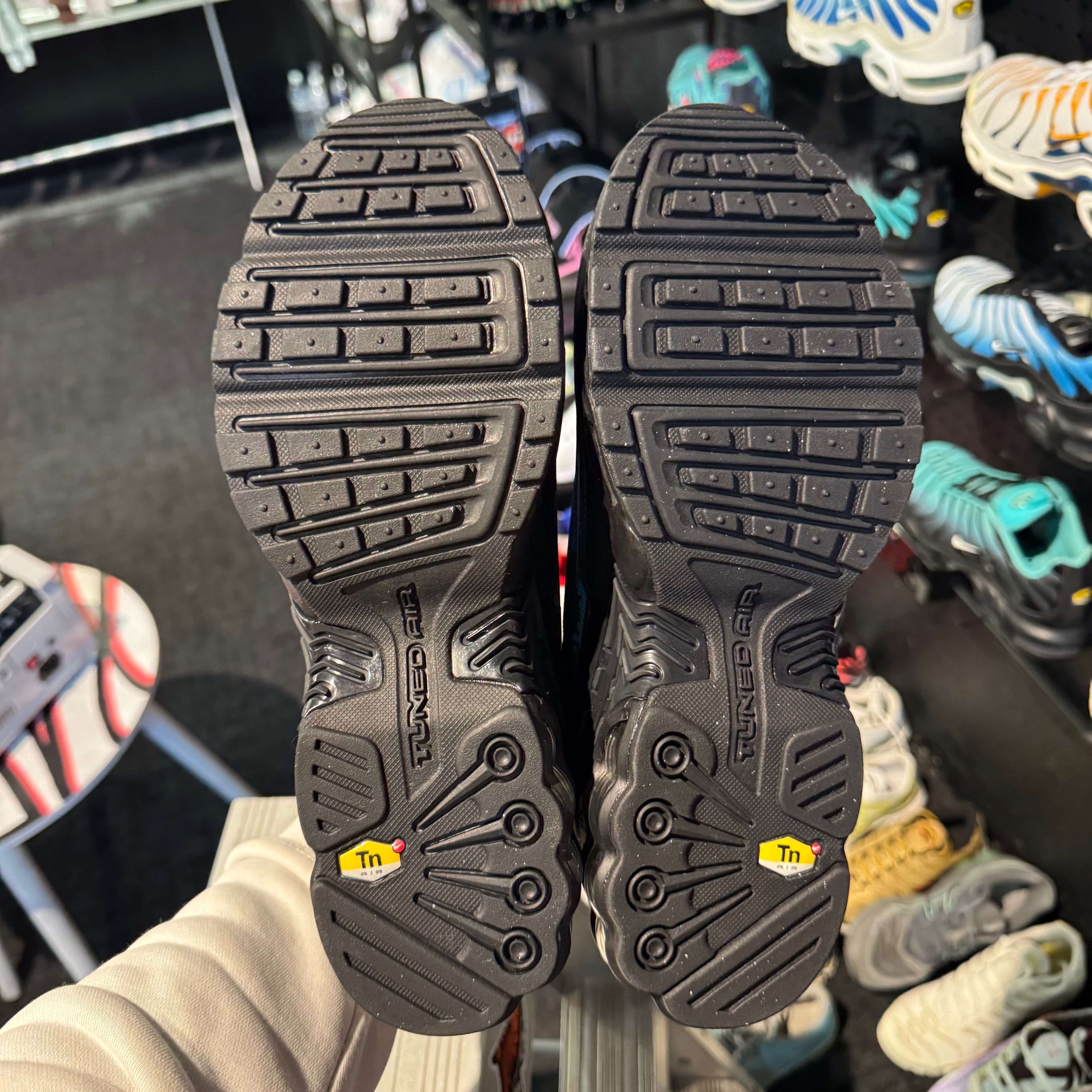 Nike Air Max Plus TN3 Premium 'Rainbow'(Brand New)