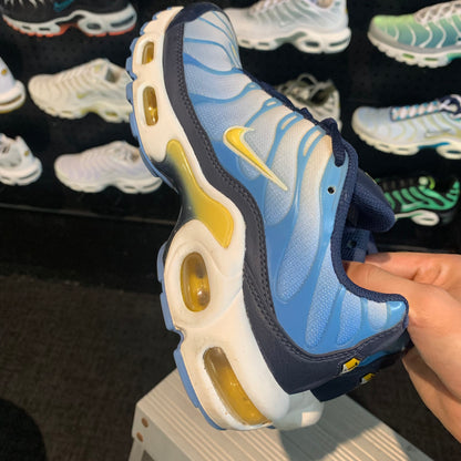 Nike Air Max Plus 'TN' Bayside 2.0 (W) (Second hand)