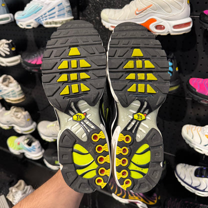 Nike Air Max Plus TN 'Bright Catus' (Second hand)