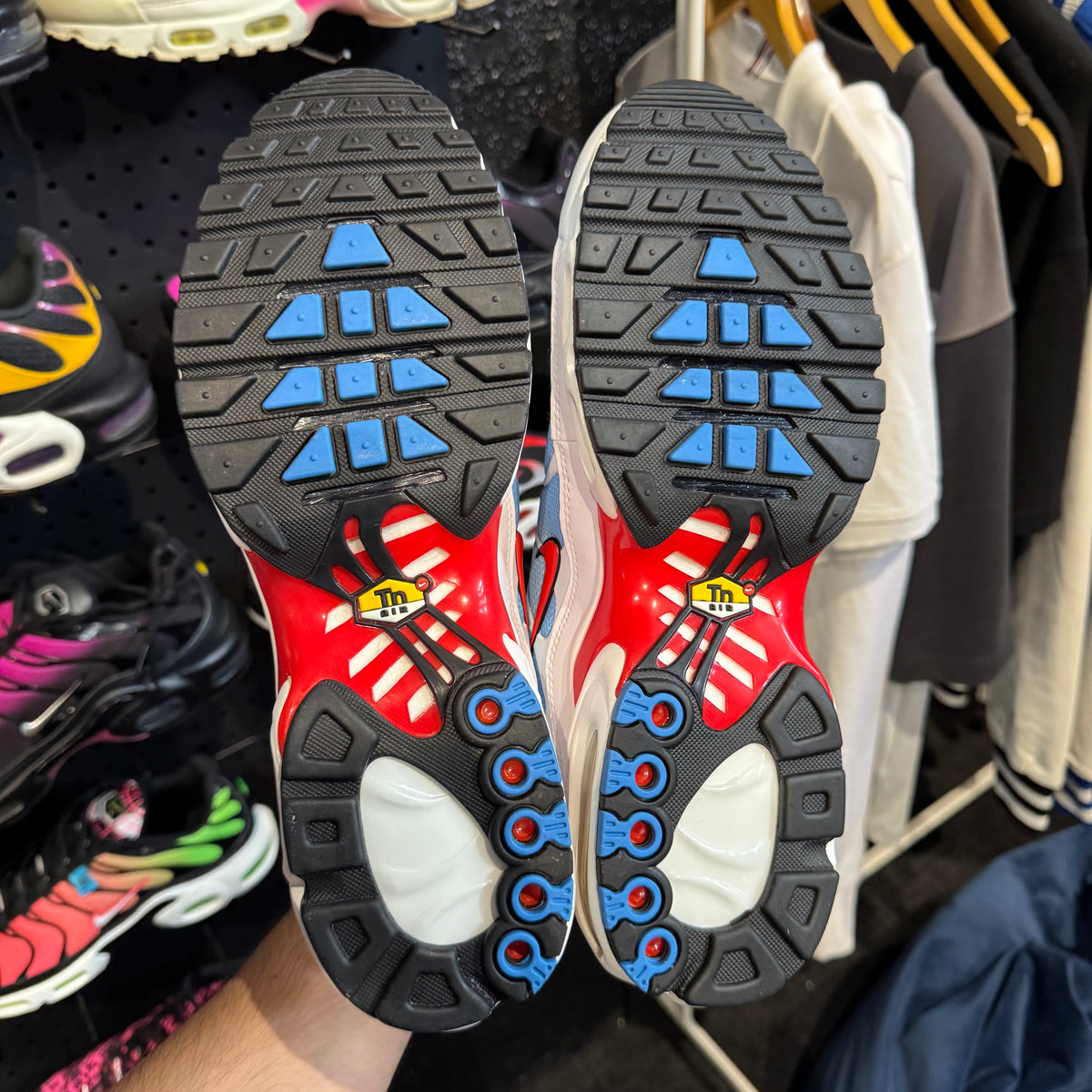 Nike Air Max Plus TN 'Tide' (Brand New)