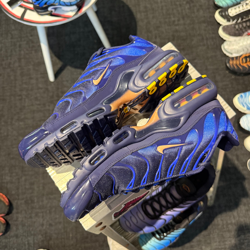 Nike Air Max Plus TN 'French Football Federation' (Brand New)