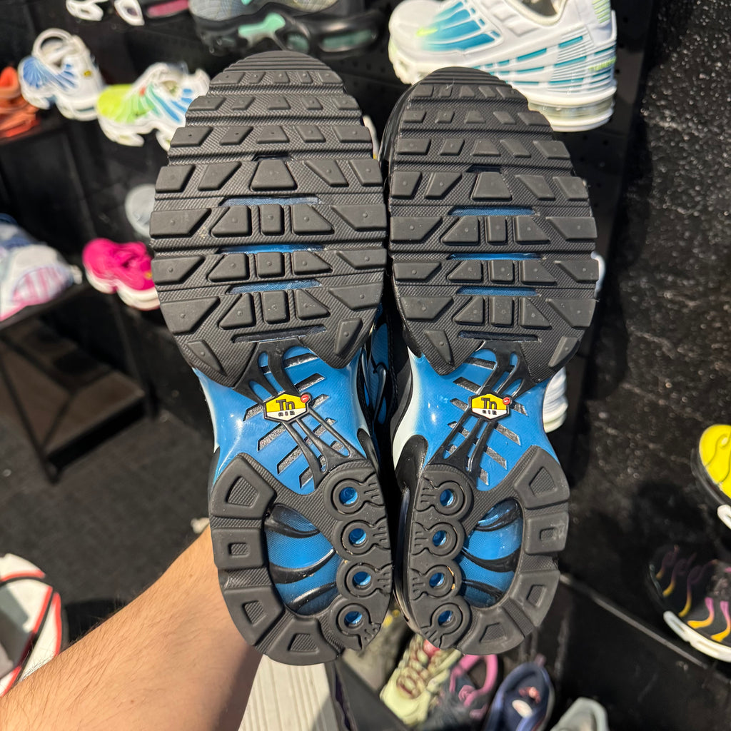 Nike Air Max Plus TN 'Neptune' (Second hand)