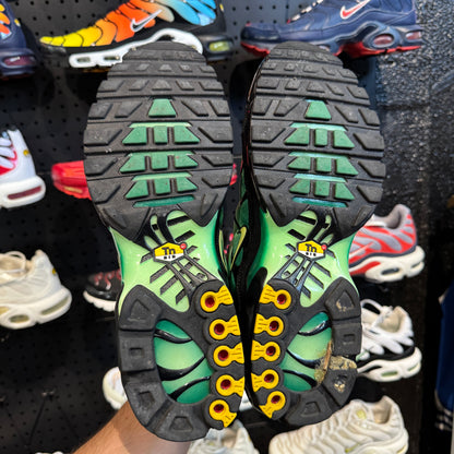 Nike Air Max Plus TN 'Vapor Green Gradient' (Second hand)