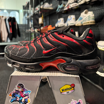 Nike Air Max Plus TN 'Hate' (Second hand)