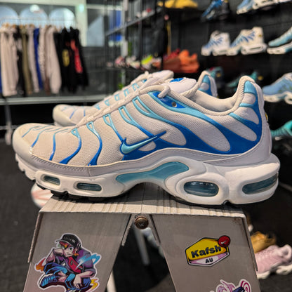 Nike Air Max Plus TN 'Dream' (Second hand)