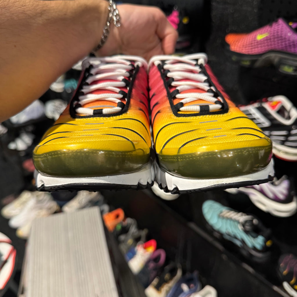 Nike Air Max Plus TN 'Rainbows' (Second hand)
