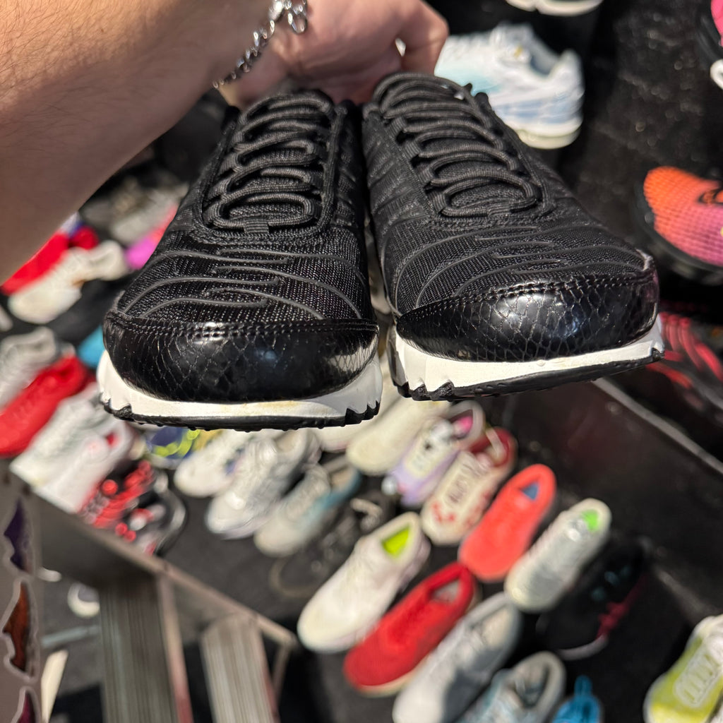 Nike Air Max Plus TN SE 'Black' (Brand New)