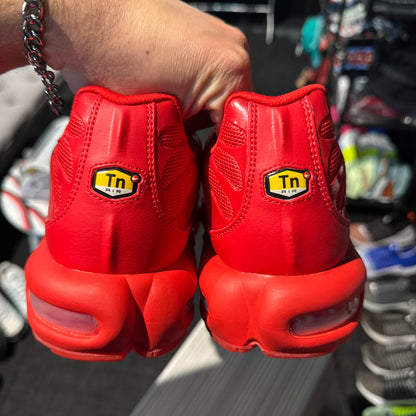 Nike Air Max Plus 'TN' Lava (Brand New)