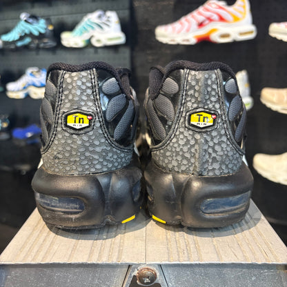 Nike Air Max Plus TN 'Kiss My Airs' (Second hand)