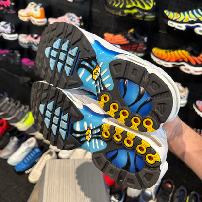 Nike Air Max Plus 'TN' Blue Jay (Second hand)