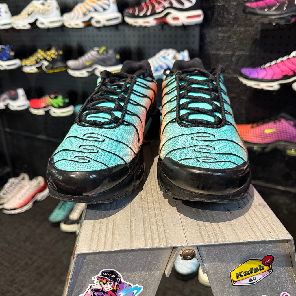 Nike Air Max Plus TN 'South Beach' (Brand New)
