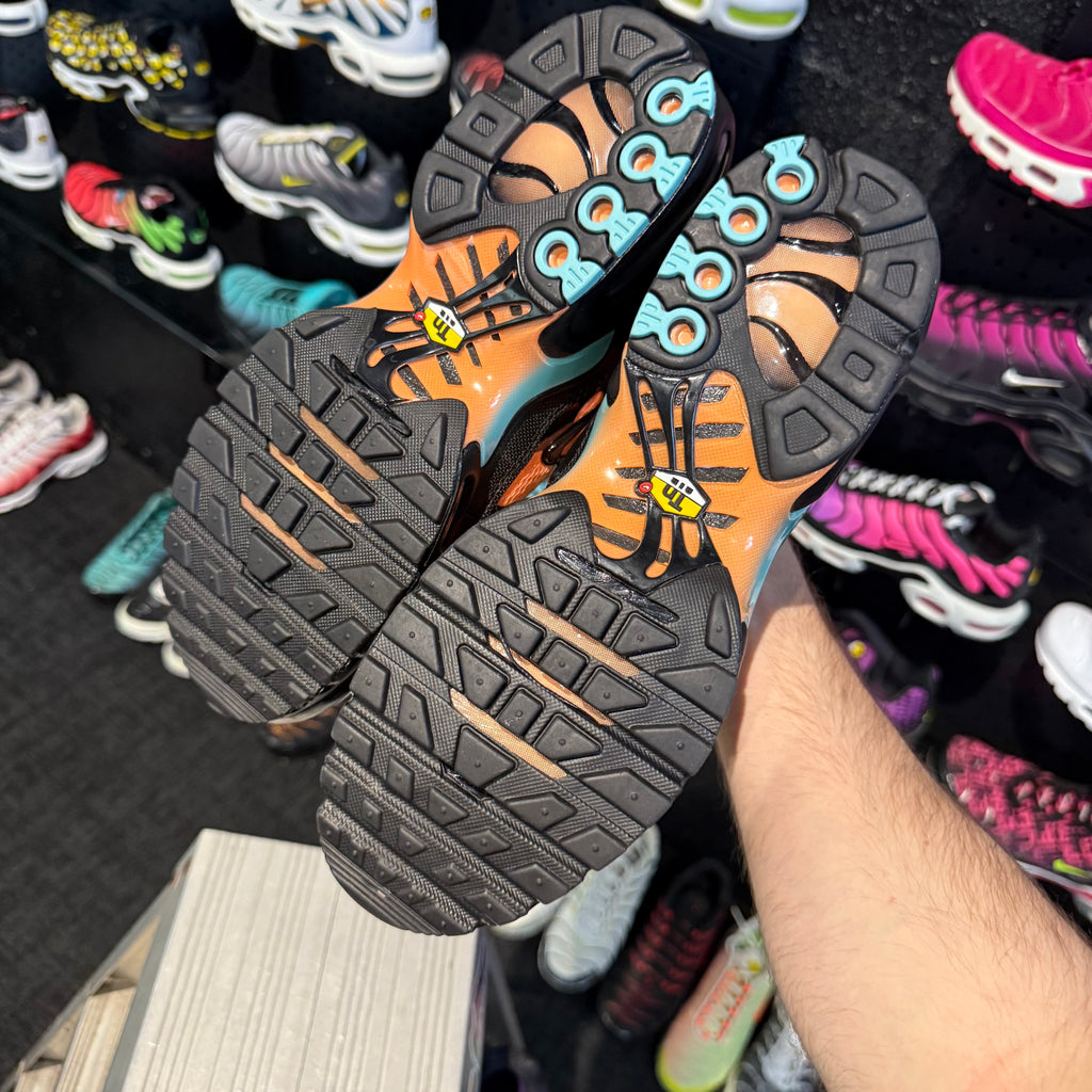 Nike Air Max Plus TN 'South Beach' (Brand New)