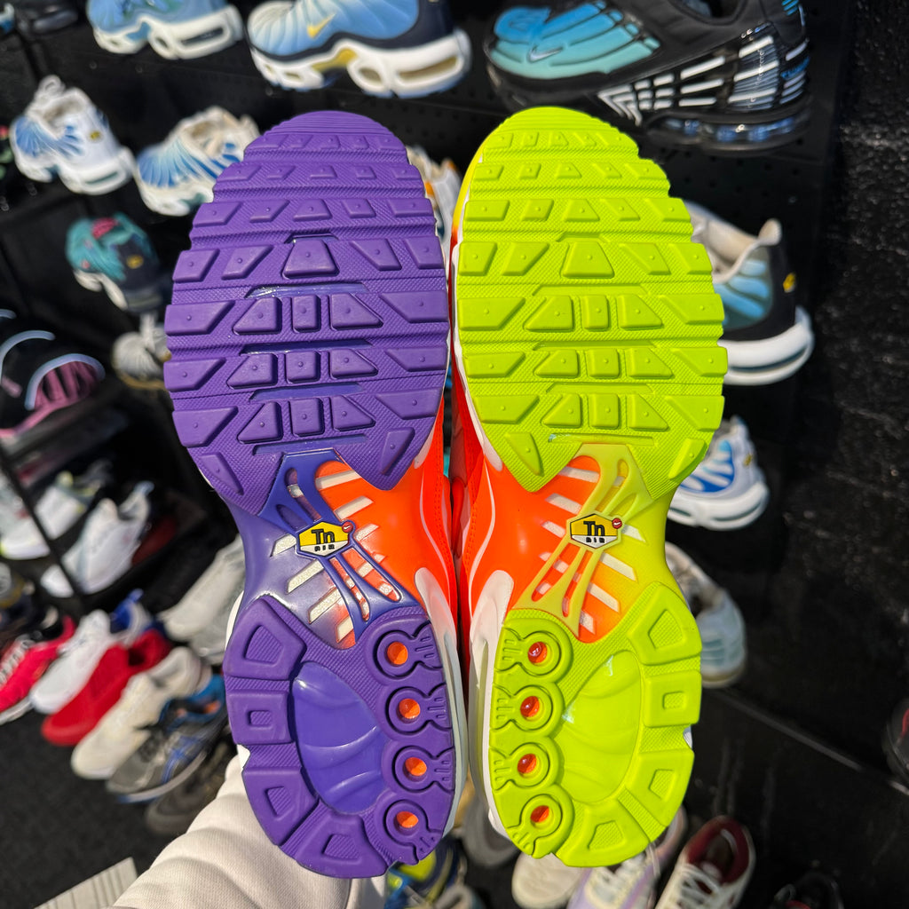 Nike Air Max Plus TN 'Light Colourflip' (Brand New)