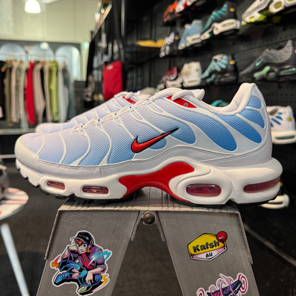 Nike Air Max Plus TN 'Tide' (Brand New)