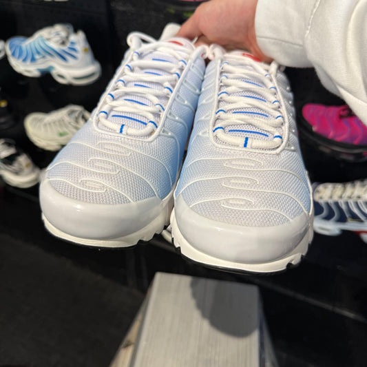 Nike Air Max Plus TN 'Tide' (Brand New)