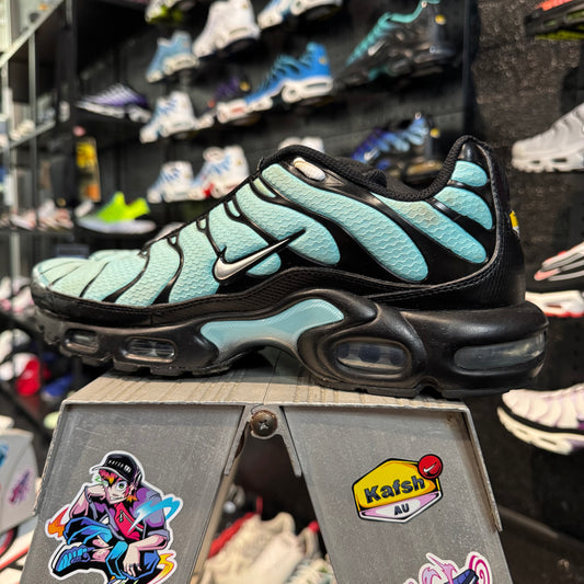 Nike Air Max Plus TN 'Dark Tiffany' (Second hand)