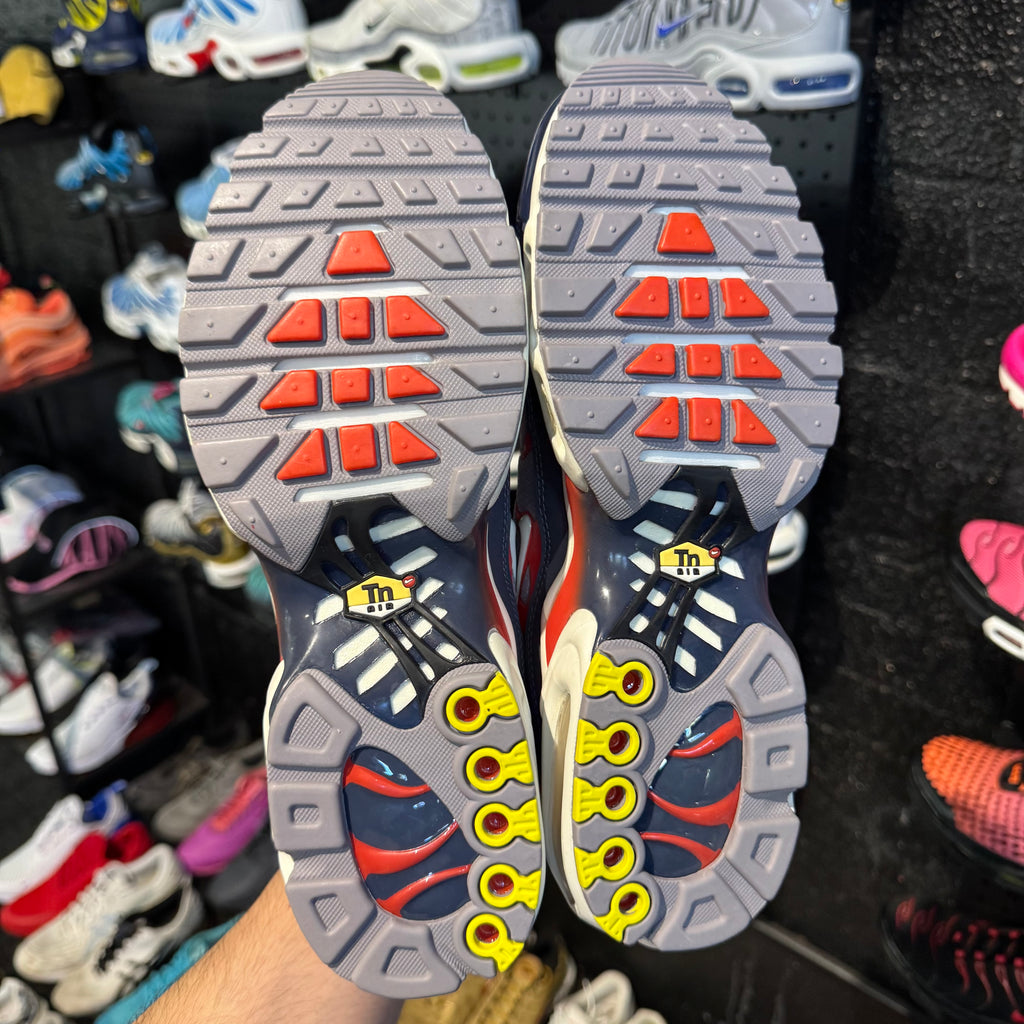 Nike Air Max Plus TN 'USA Grey' (Brand New)