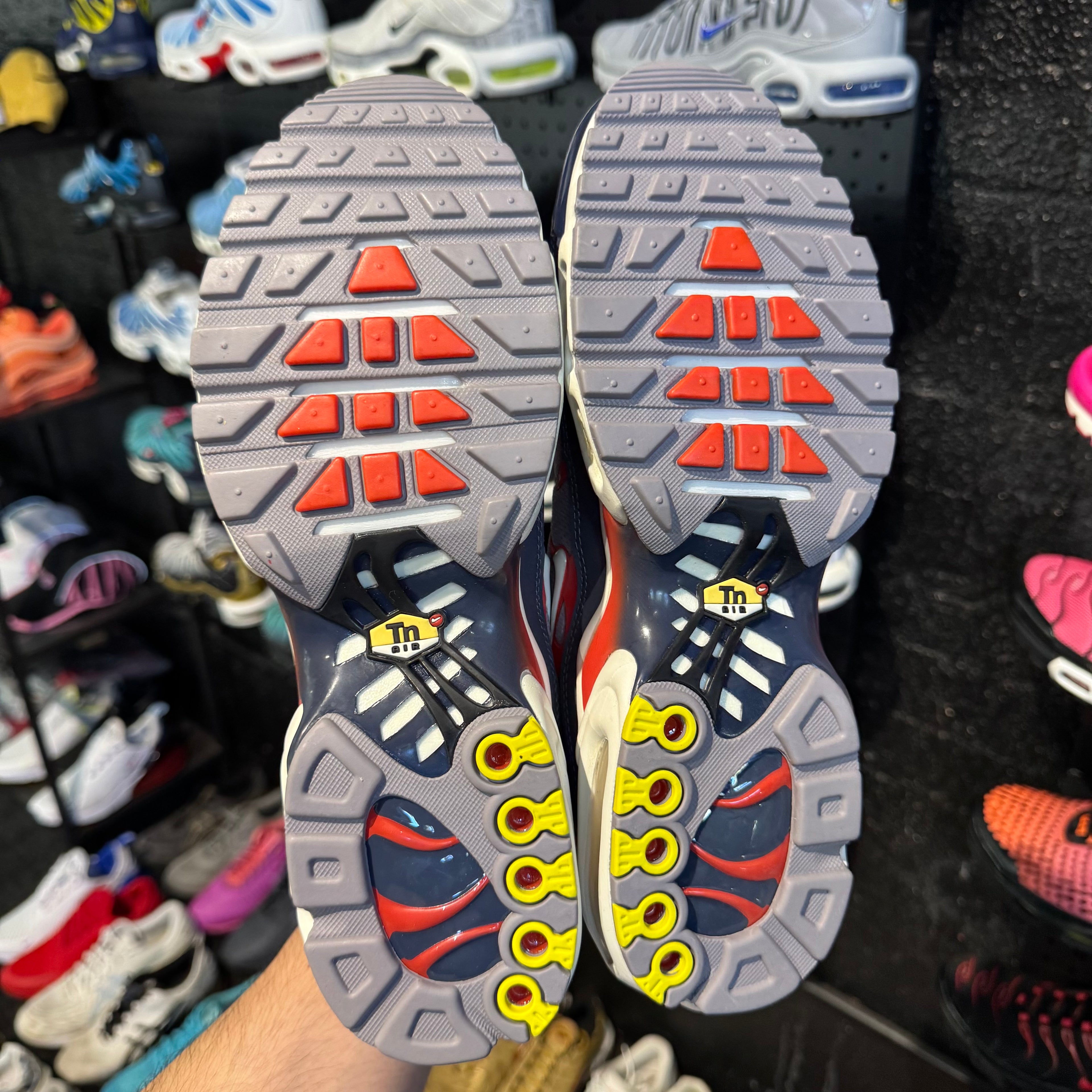 Nike Air Max Plus TN 'USA Grey' (Brand New)