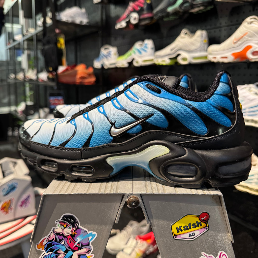 Nike Air Max Plus TN 'Neptune' (Second hand)