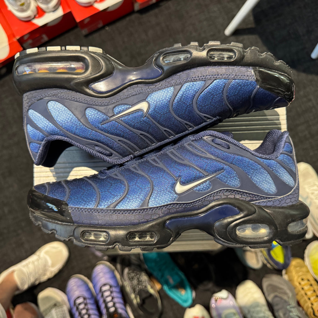 Nike Air Max Plus TN 'Blue Hex' (Brand New)