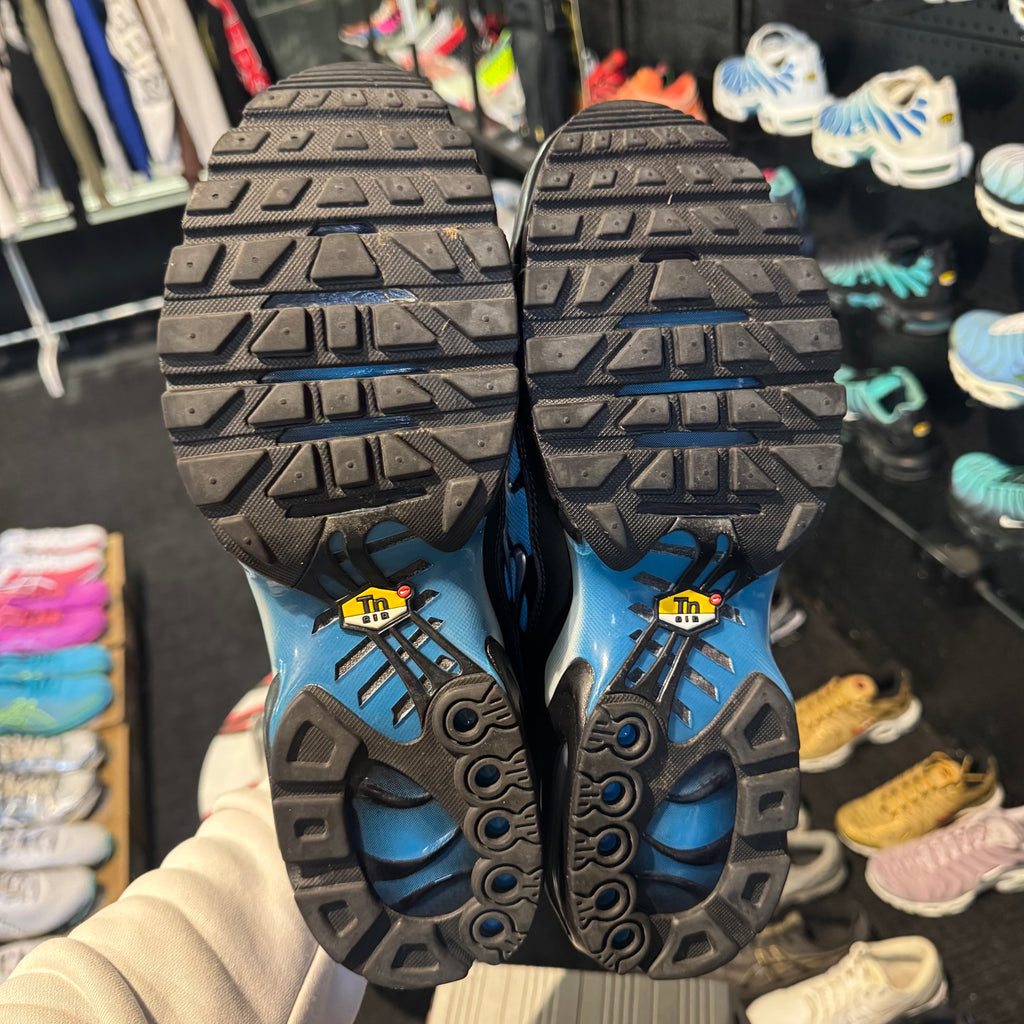 Nike Air Max Plus TN 'Neptune' (Second hand)