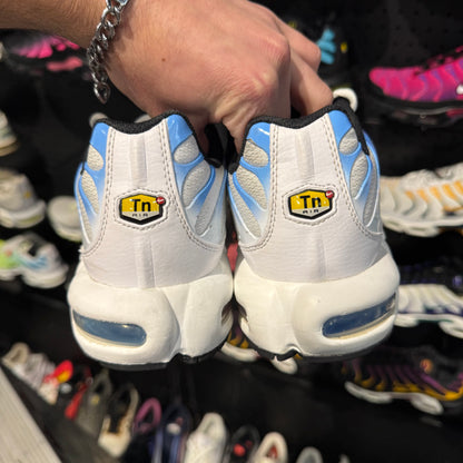 Nike Air Max Plus TN 'Posideon' (Second hand)