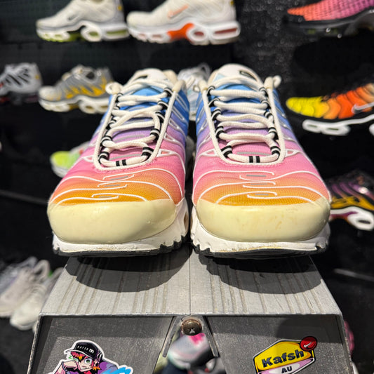 Nike Air Max Plus TN 'Rainbow' (Second hand)