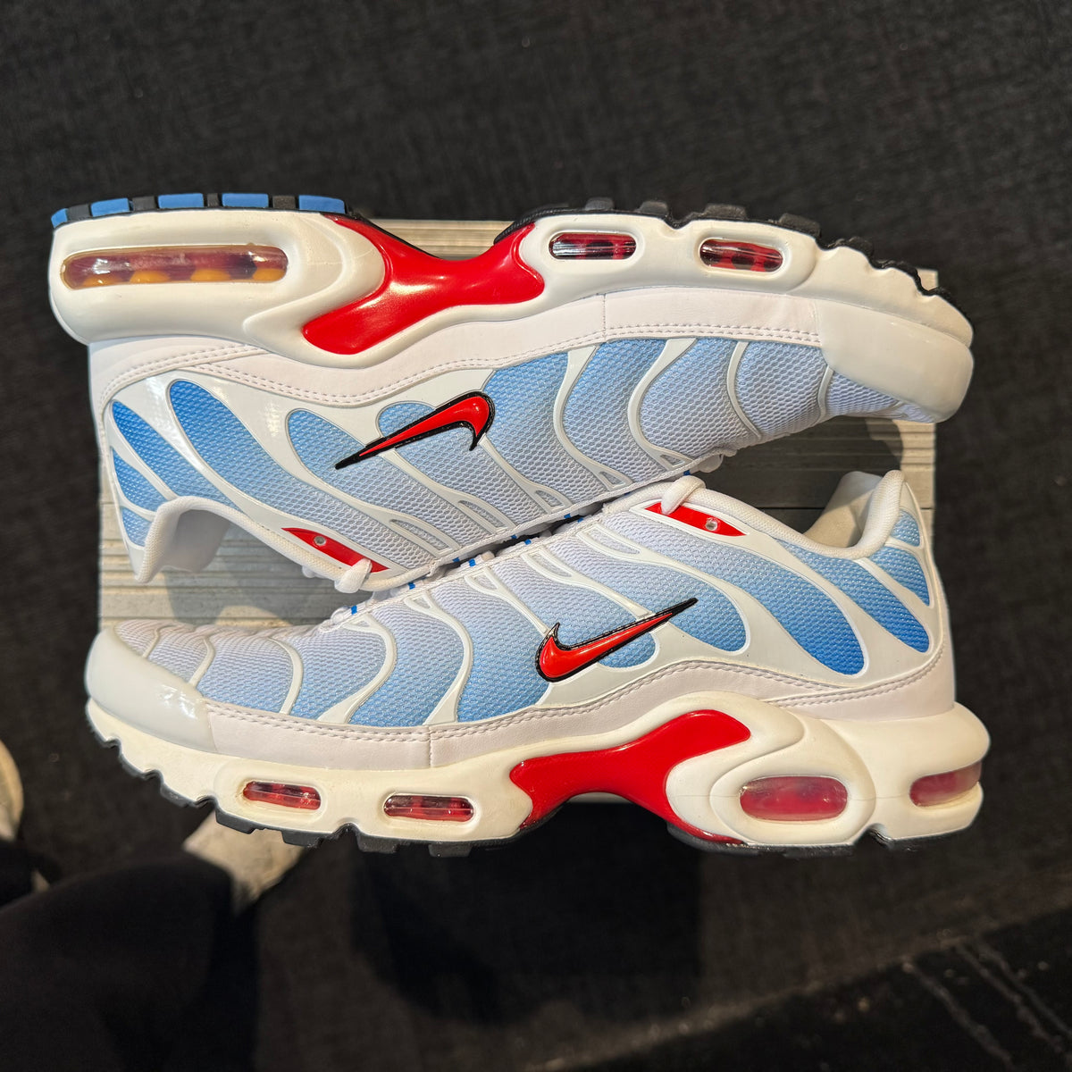 Nike Air Max Plus TN 'Tide' (Brand New)