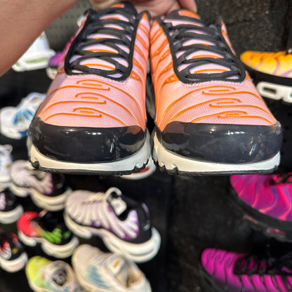 Nike Air Max Plus TN 'Sherbet' (Brand New)