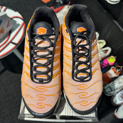 Nike Air Max Plus TN 'Sherbet' (Second hand)
