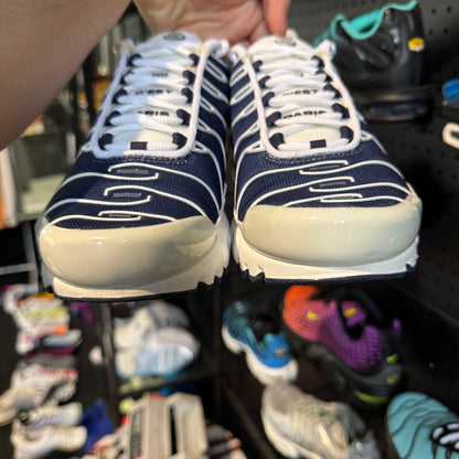 Nike Air Max Plus TN 'PSG' (Second hand)