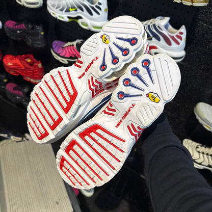 Nike Air Max Plus 'TN3' Tide (Second hand)
